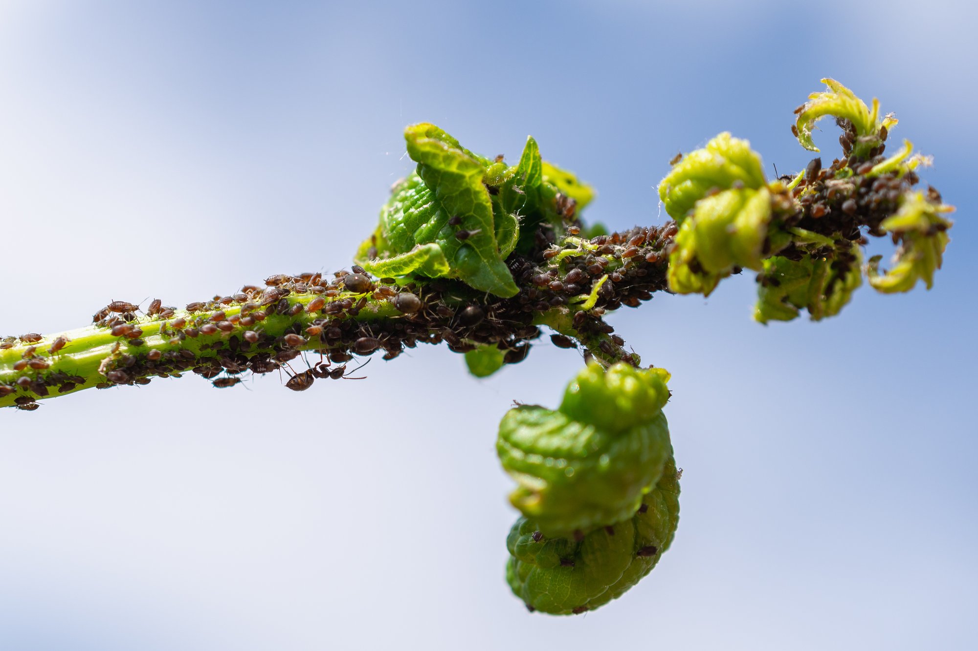 AdobeStock_435000181 AdobeStock_435000181