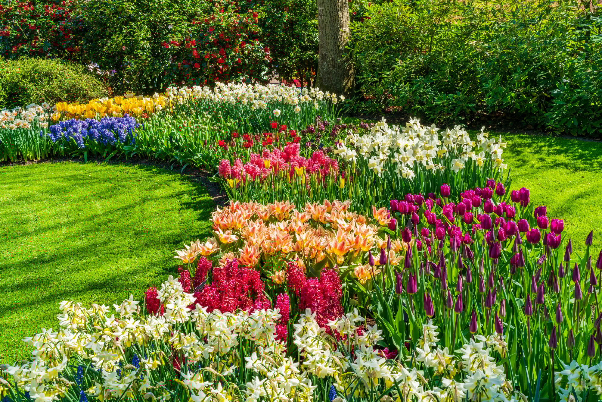 flower bed maintence photo AdobeStock_598010078 (1)